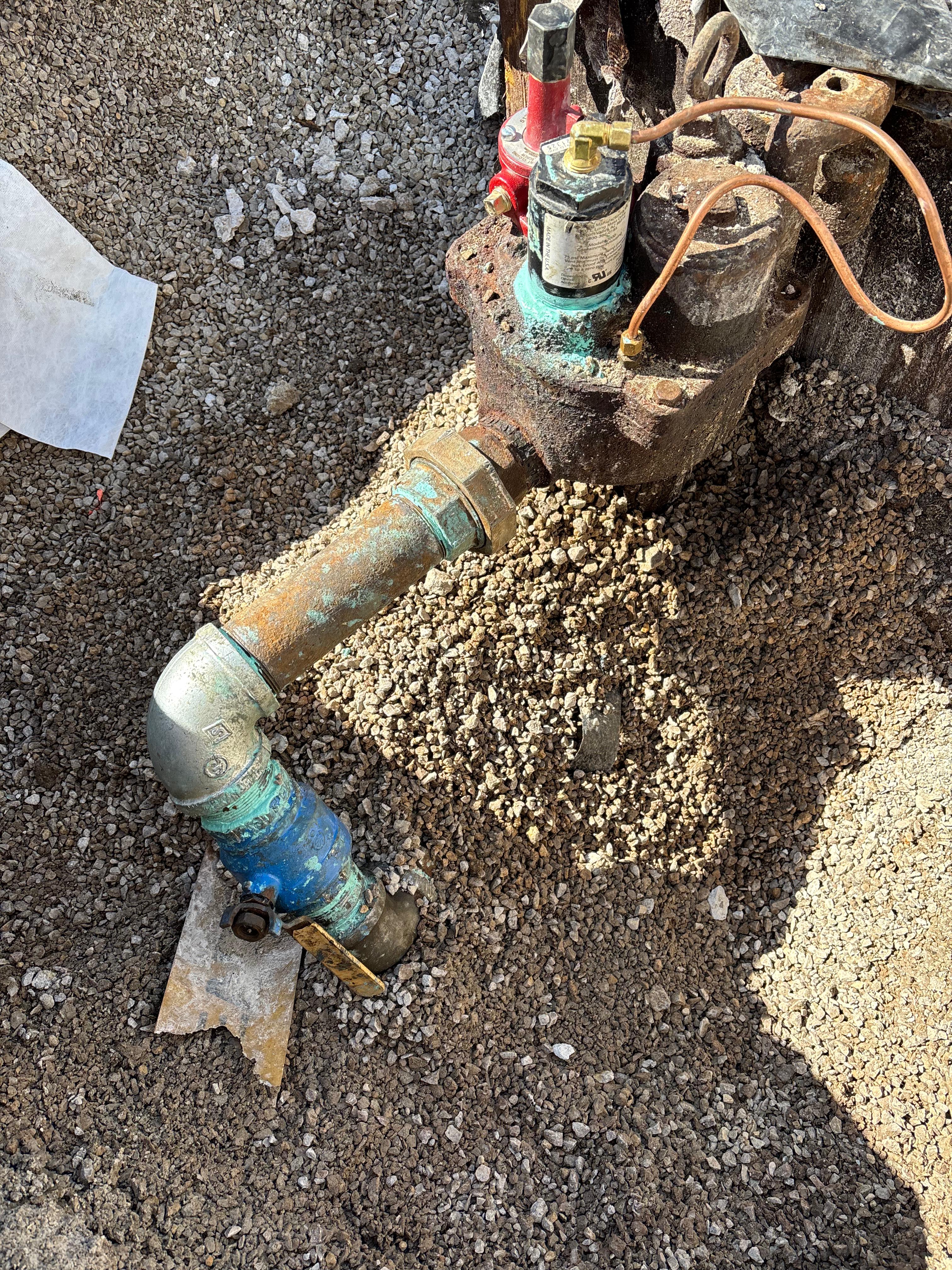 Project Gallery Image